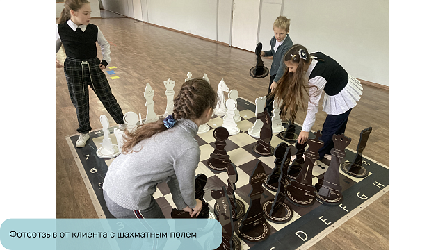 Доска для шахмат Жу-Жу плотная виниловая обучающая 2400 х 2400 мм