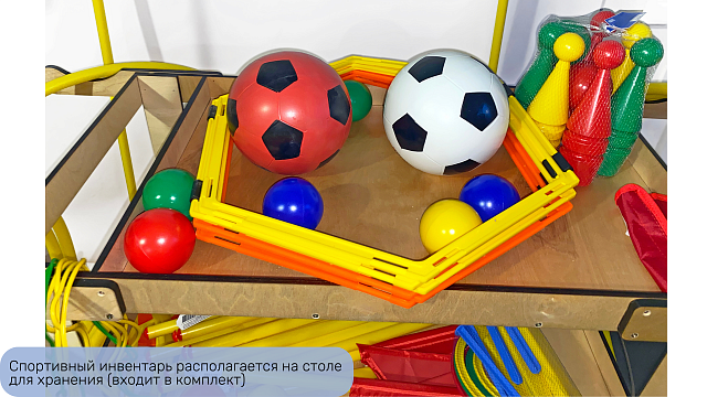 Спортивный комплекс 111 предметов "Стандарт"