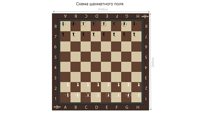 Доска для шахмат Жу-Жу плотная виниловая обучающая 2400 х 2400 мм