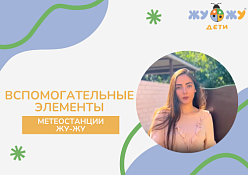 Вспомогательные элементы метеостанции ЖУ-ЖУ