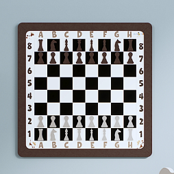 Настенная логическая игра Шахматы/Шашки с магнитами, мягкий полимер