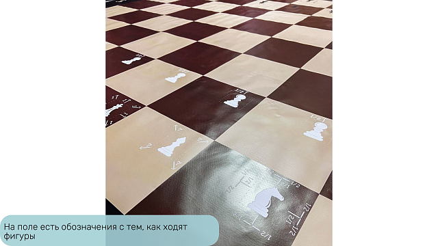 Доска для шахмат Жу-Жу плотная виниловая обучающая 2400 х 2400 мм